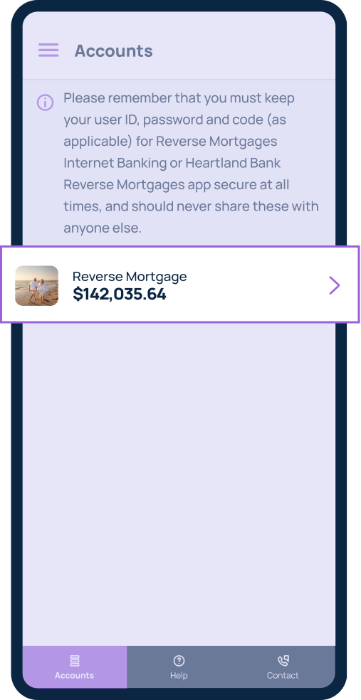 View your loan details