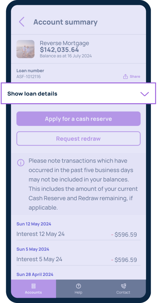 View your loan details