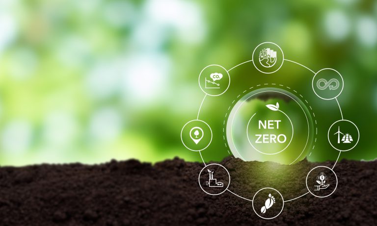 How to reduce your carbon footprint: simple steps toward a net-zero future